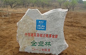 中國建筑基礎設施事業部