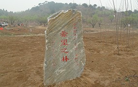 永泰房地產（集團）有限公司