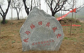 福田營銷
