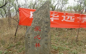 神華集團公司