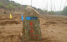 鼎橋解決方案