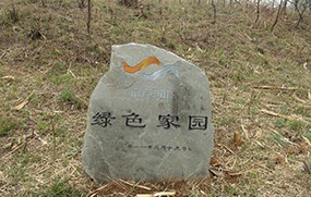 南方電訊