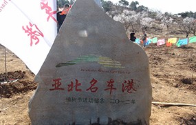 亞北名車港