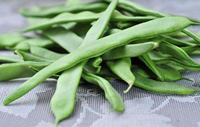 有機(jī)蔬菜--扁豆角