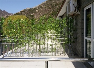山水情緣