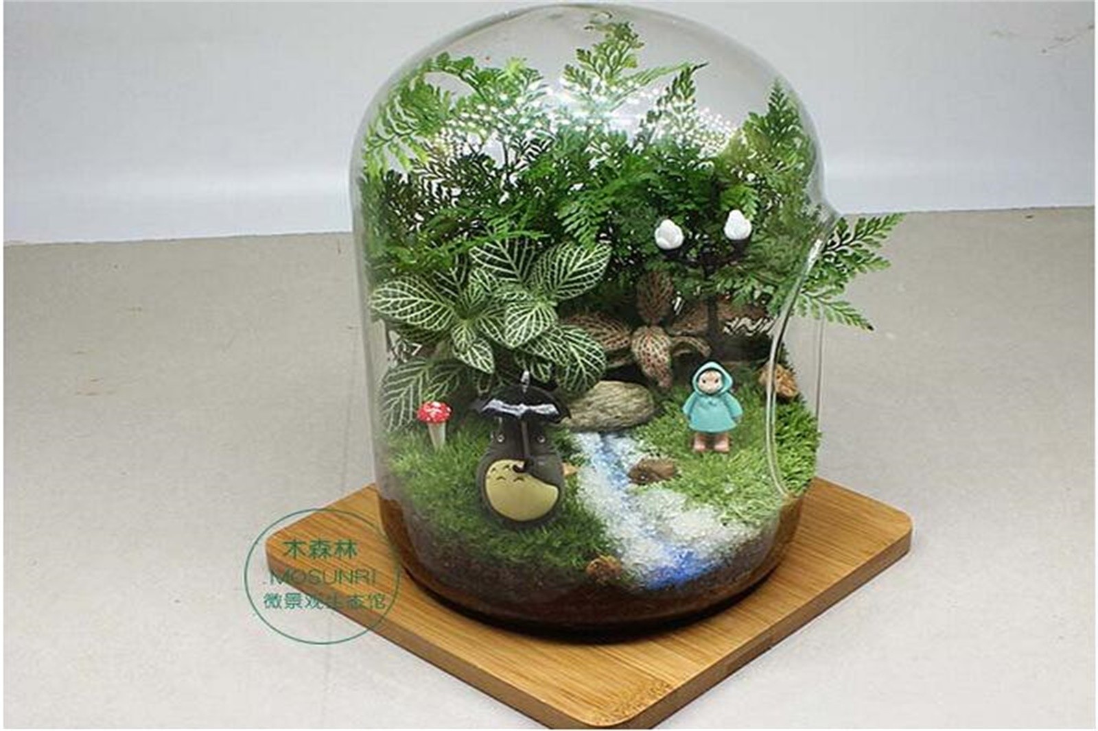 微景觀DIY+踏青植樹