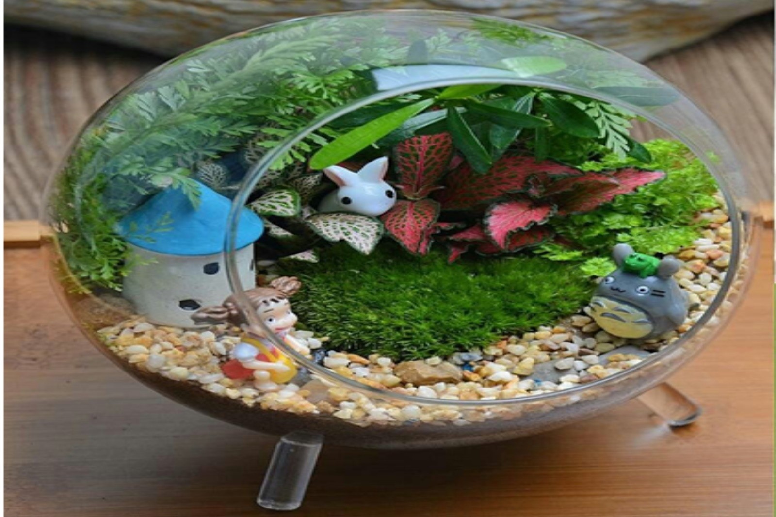 微景觀DIY+農家特色午餐+采摘有機蔬菜4斤/人