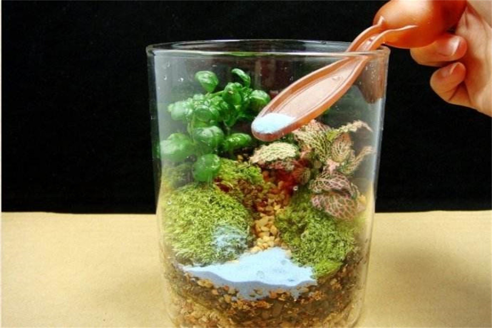 微景觀DIY+虹鱒魚特色午餐+騎行