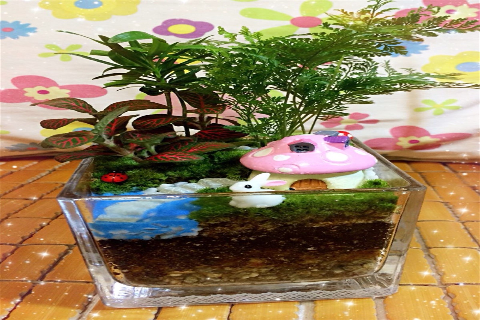 微景觀DIY+虹鱒魚特色午餐+春耕