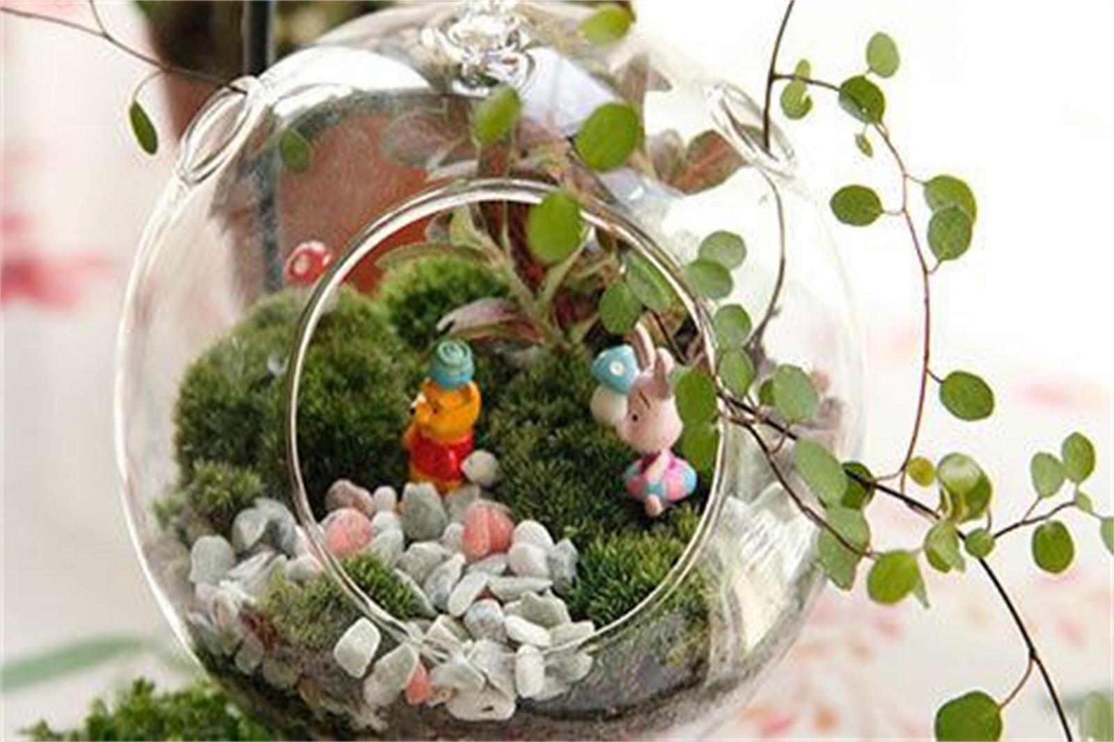 微景觀DIY