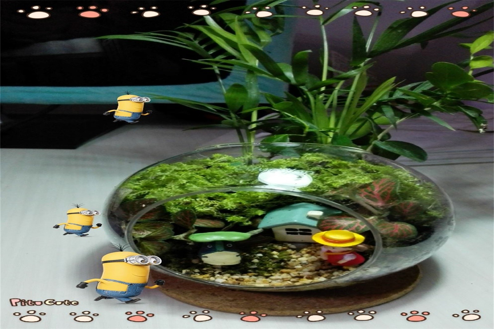 微景觀DIY+虹鱒魚特色午餐+彩彈真人CS 60發子彈