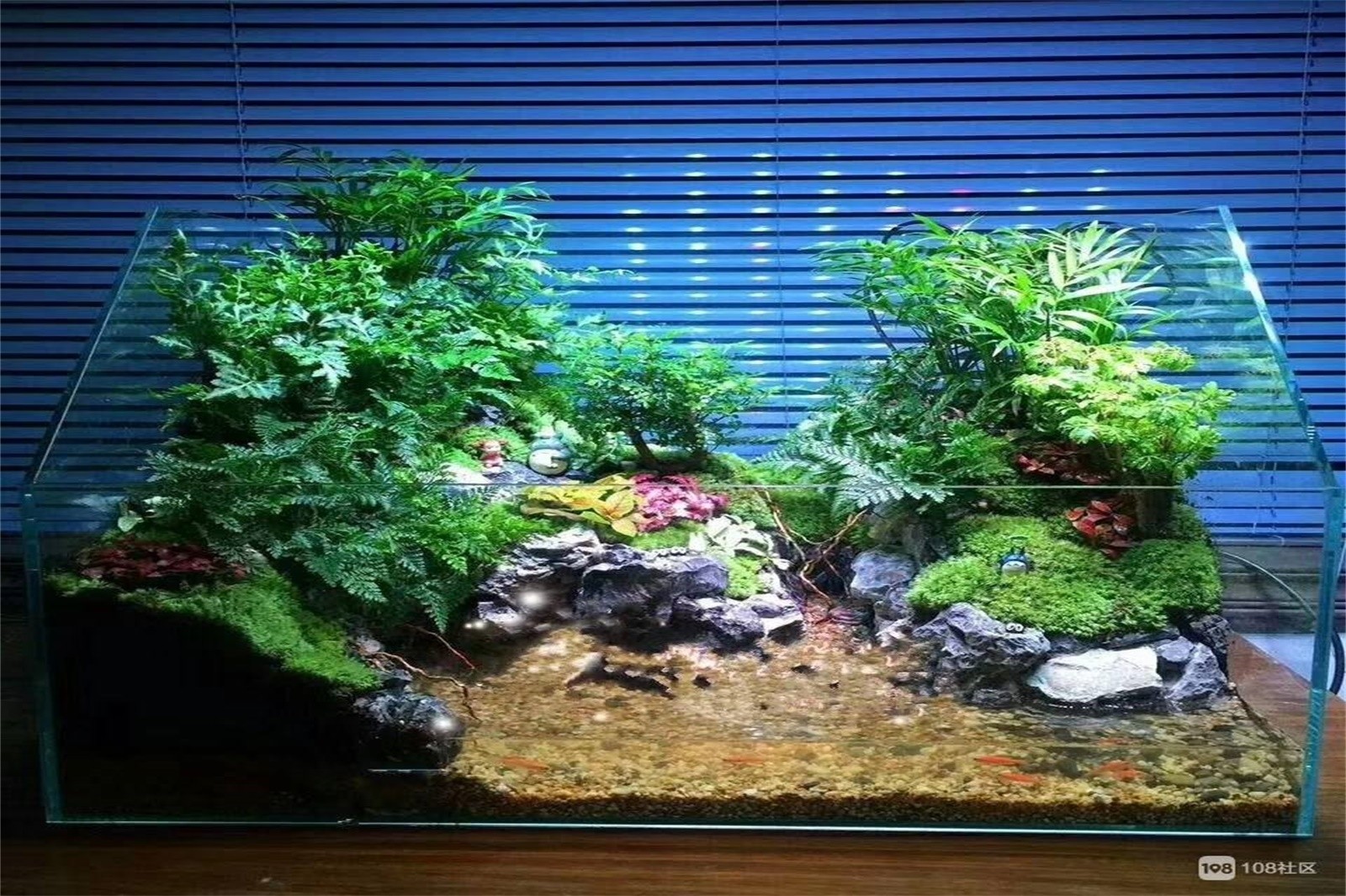 微景觀DIY+虹鱒魚特色午餐+戶
