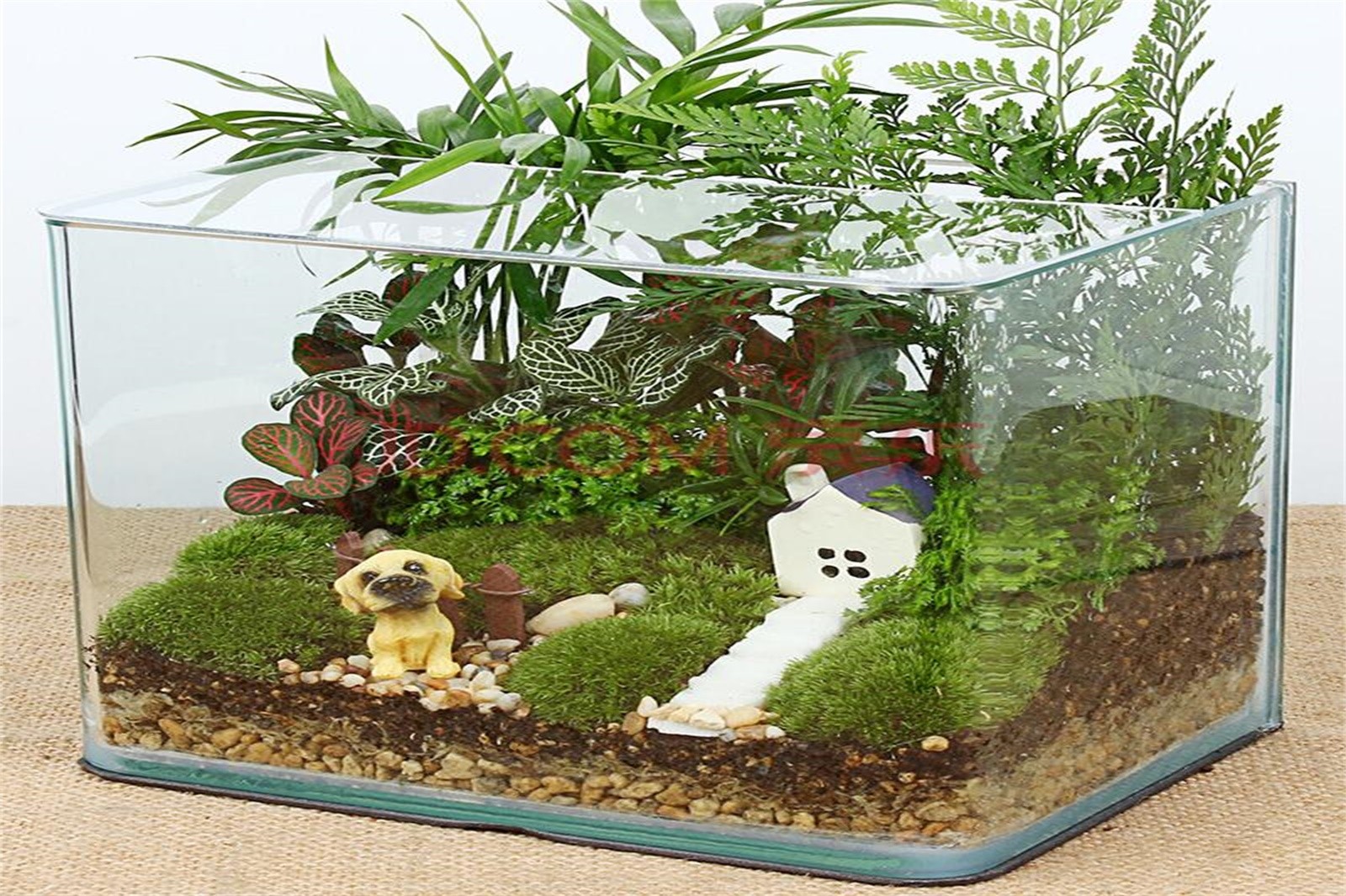 微景觀DIY+農家特色午餐+懷柔景區任選其一