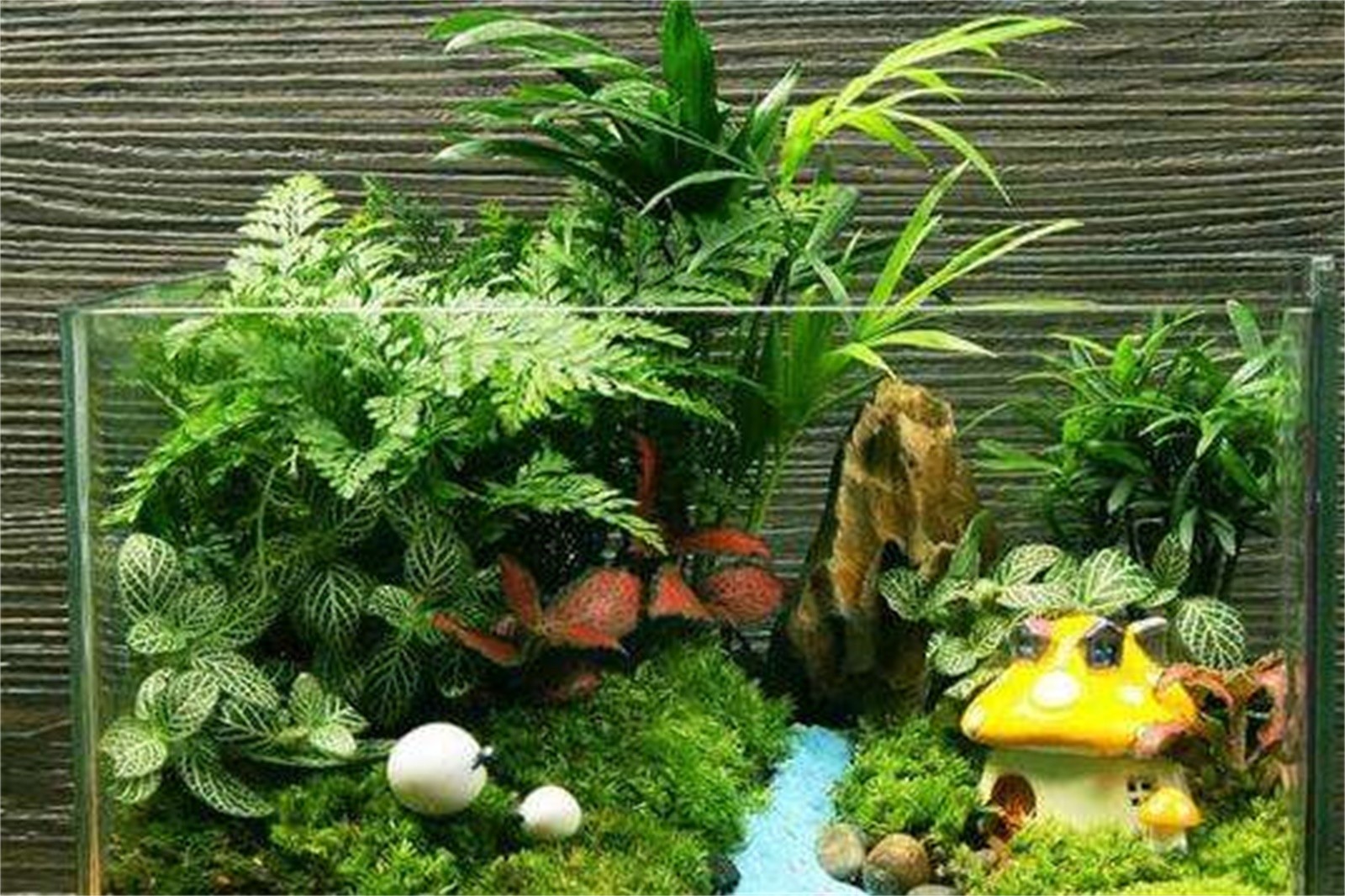 微景觀DIY+農家特色午餐+極限漂流