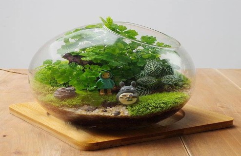 微景觀DIY