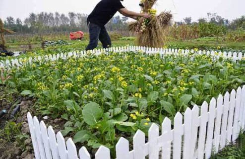 農(nóng)耕體驗+踏青植樹