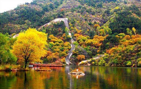 景區(qū)徒步+踏青植樹