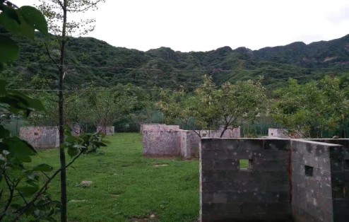 踏青植樹+真人CS