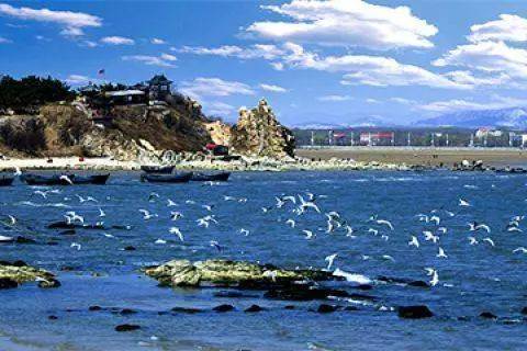 南北戴河+鴿子窩+碧螺塔+沙雕海