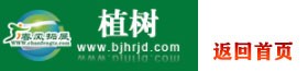 返回首頁