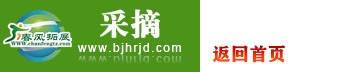 返回首頁