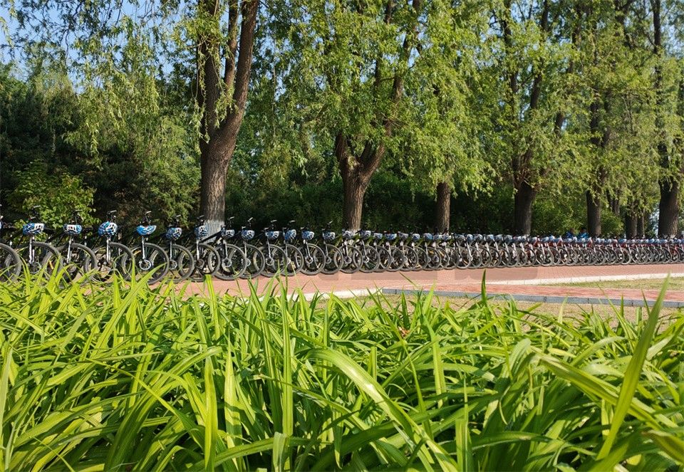 主題團建——媯河公園騎行
