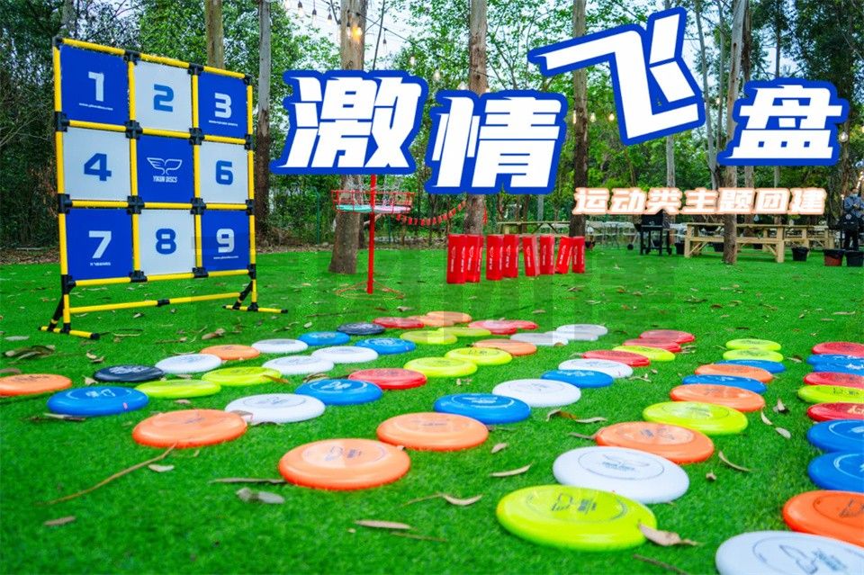 主題團建------極限飛盤