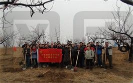 北京社科院總支部委員會 植樹合影