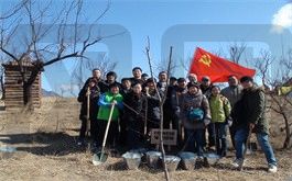 黨建植樹合影