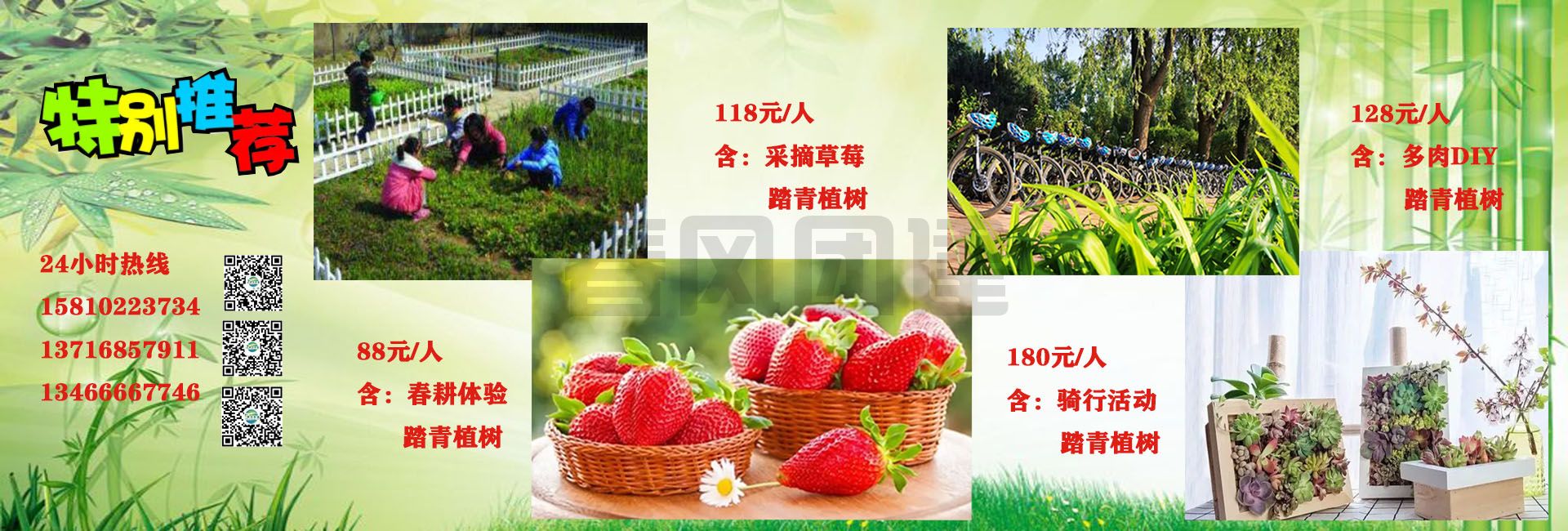 植樹