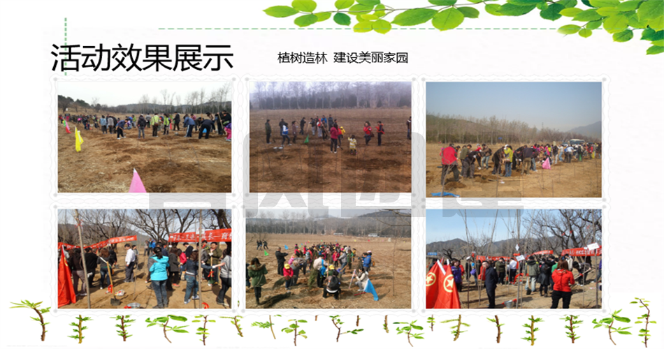 81abfa89ef79e96f16c82cb62ebe6dd7.png