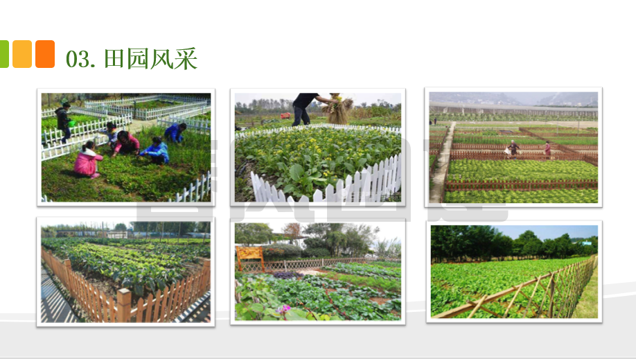 d249705914d26bbc26253a7e8336f0a6.png